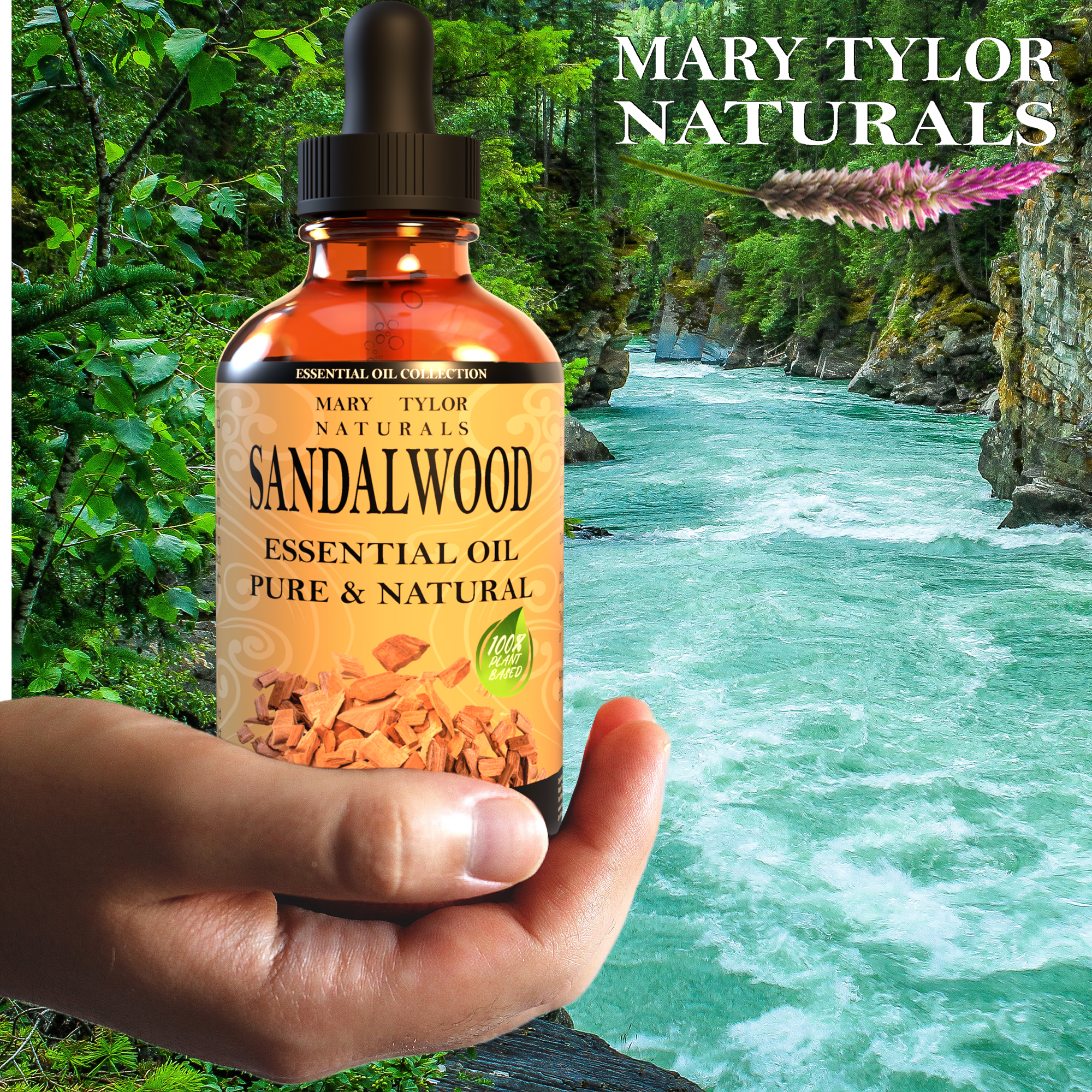 Sandalwood Essential Oil (1 oz), Premium Therapeutic Grade, 100% Pure and Natural, Perfect for Aromatherapy, Diffuser, DIY by Mary Tylor Naturals